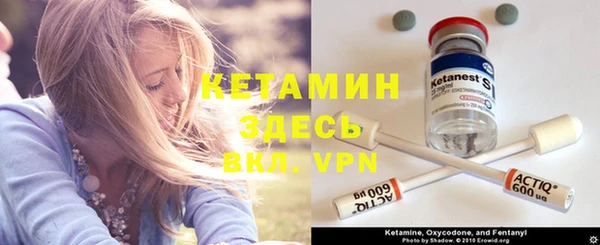 трава Аркадак