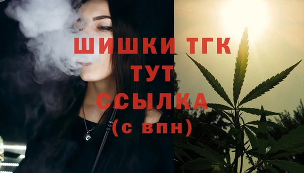 трава Аркадак