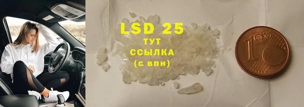 трава Аркадак