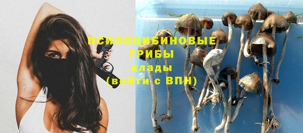 jwh Арсеньев
