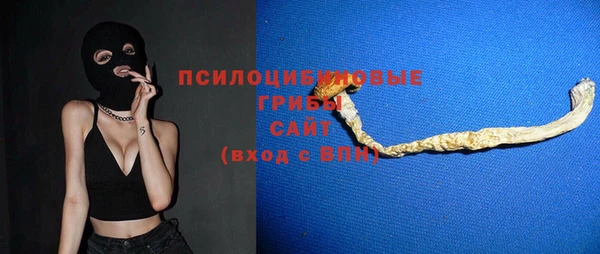мдпв Касимов